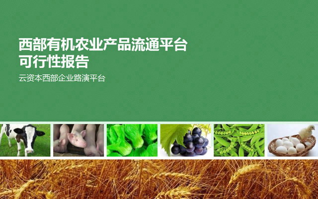 农业产品流通平台分析报告PPT下载