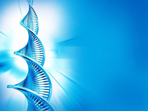 蓝色DNA背景医学PPT模板下载 蓝色DNA背景医学PPT模板下载