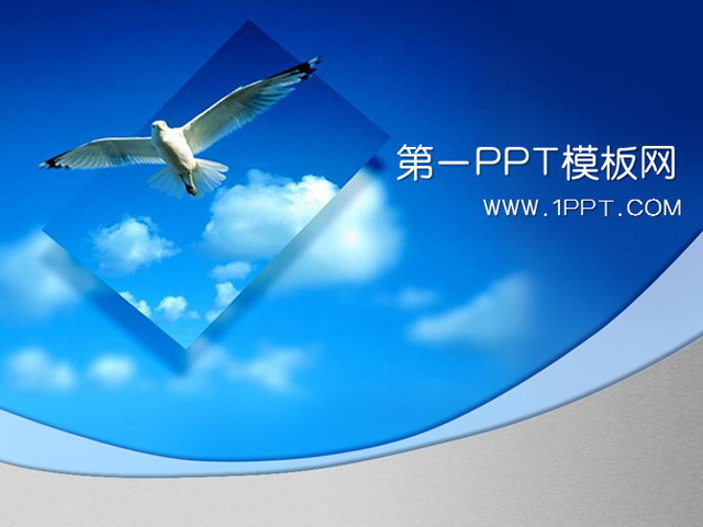 蓝天白云PPT背景图片 飞翔的海鸥背景PPT模板下载