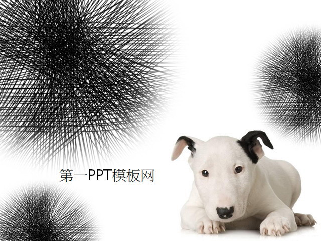 可爱动物幻灯片模板 可爱的斑点狗背景PPT模板下载