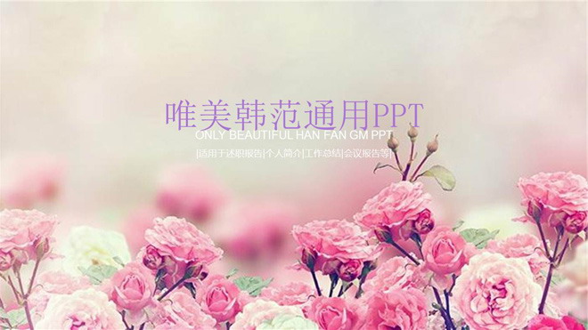 花朵幻灯片背景图片 粉色蔷薇花背景的韩国PPT模板