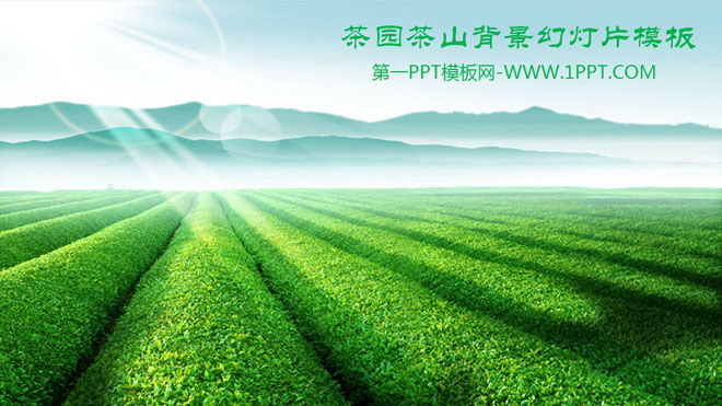 绿色PPT背景 绿色茶山茶庄茶园PPT模板