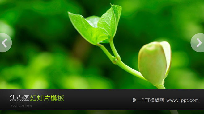 绿色幻灯片背景 动态绿苗豆芽背景的植物幻灯片模板下载