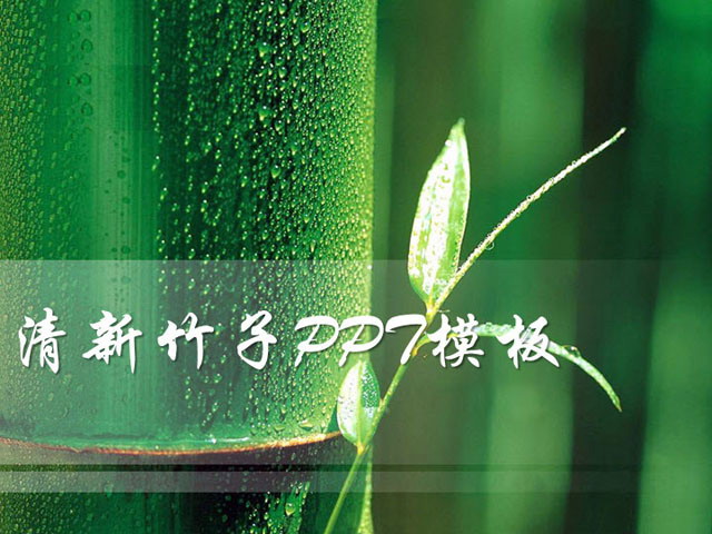 绿色PPT背景 清新竹子背景PowerPoint幻灯片模板