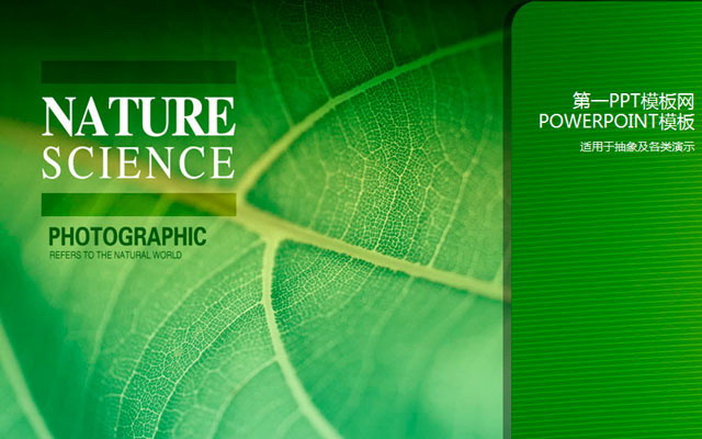 叶脉PPT背景图片 生命的绿色 绿色植物PowerPoint模板