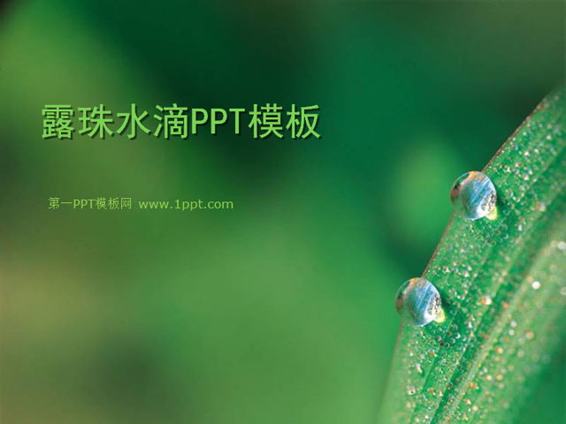绿色PPT背景 叶子上的露珠背景植物幻灯片模板下载