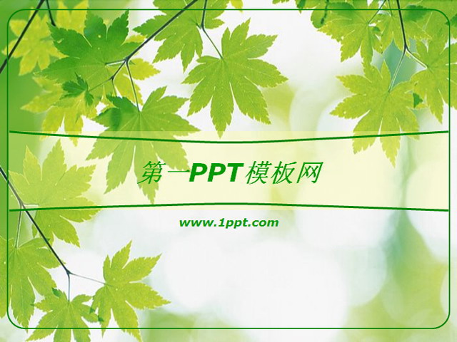 枫叶PPT背景图片 绿色枫叶背景PPT模板下载