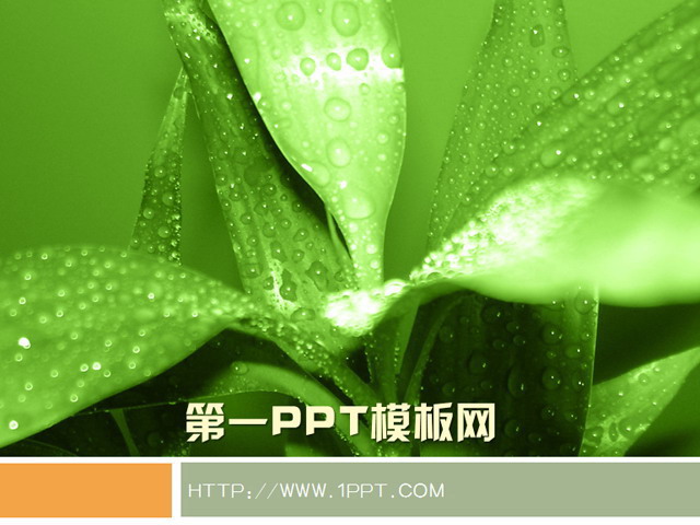 绿色叶子PPT背景图片 绿色植物背景PPT模板下载