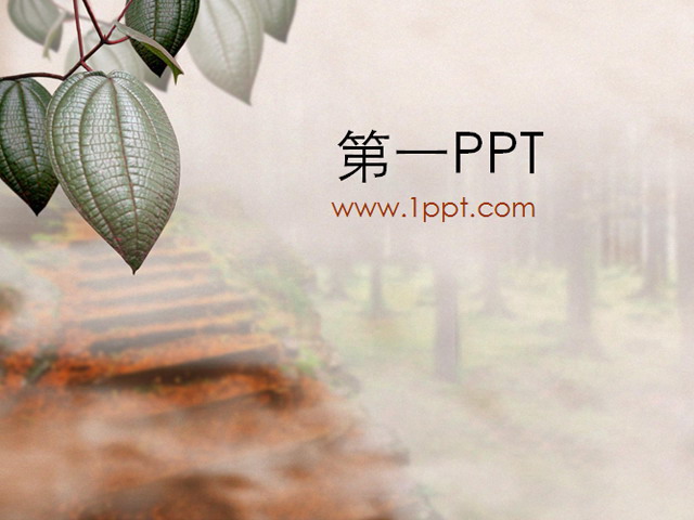 树叶叶子PPT背景图片 树叶背景PPT模板下载