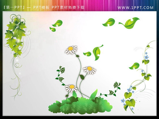 叶子绿叶 葡萄藤蔓背景的幻灯片小插图素材