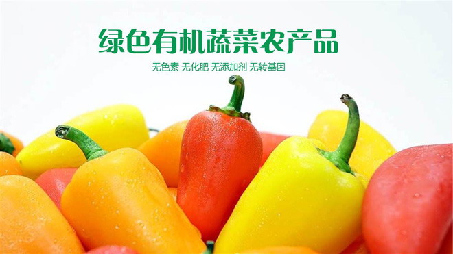 彩色有机蔬菜PPT背景图片 绿色有机蔬菜PPT模板