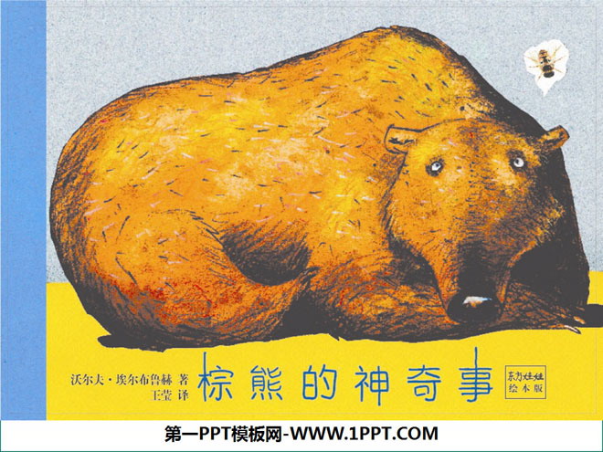 绘本故事PPT下载 《棕熊的神奇事》绘本故事PPT