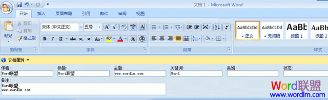 设置文档个人信息 Microsoft Word2007如何设置文档的个人信息