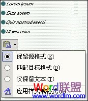 word格式选项 Word2003如何确定格式选项
