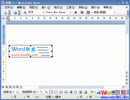word如何插入图片 Word2003如何插入电脑中图片
