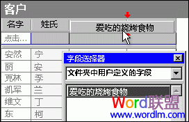 word设置联系人视图 『Word2007技巧』设置包含自定义域的联系人视图